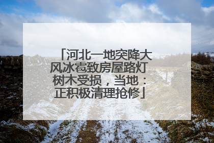 河北一地突降大风冰雹致房屋路灯树木受损，当地：正积极清理抢修