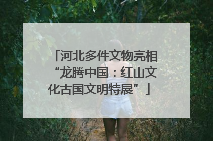 河北多件文物亮相“龙腾中国：红山文化古国文明特展”