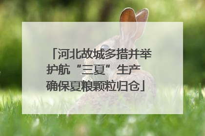 河北故城多措并举护航“三夏”生产 确保夏粮颗粒归仓