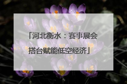 河北衡水：赛事展会搭台赋能低空经济