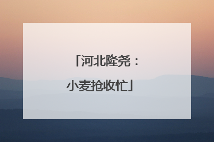 河北隆尧：小麦抢收忙