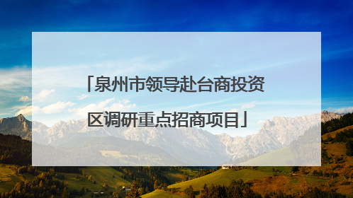 泉州市领导赴台商投资区调研重点招商项目