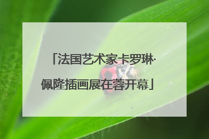 法国艺术家卡罗琳·佩隆插画展在蓉开幕