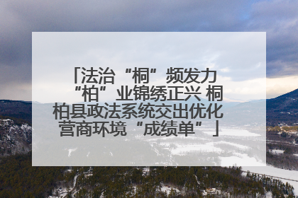 法治“桐”频发力 “柏”业锦绣正兴 桐柏县政法系统交出优化营商环境“成绩单”
