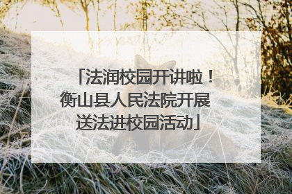 法润校园开讲啦！衡山县人民法院开展 送法进校园活动