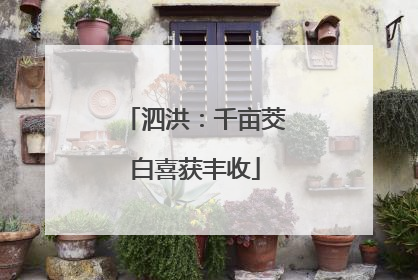 泗洪：千亩茭白喜获丰收
