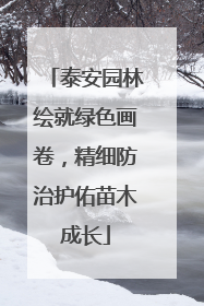 泰安园林绘就绿色画卷，精细防治护佑苗木成长