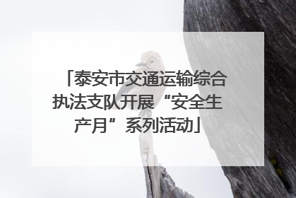 泰安市交通运输综合执法支队开展“安全生产月”系列活动