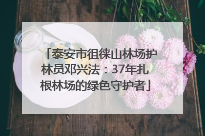 泰安市徂徕山林场护林员邓兴法：37年扎根林场的绿色守护者