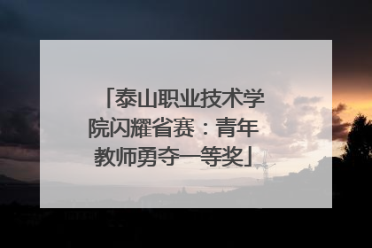 泰山职业技术学院闪耀省赛：青年教师勇夺一等奖