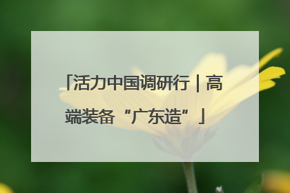 活力中国调研行｜高端装备“广东造”