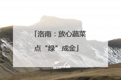洛南：放心蔬菜点“绿”成金