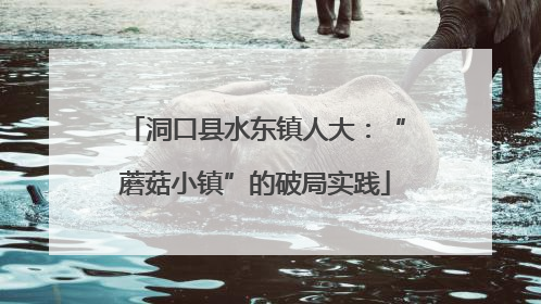 洞口县水东镇人大：“蘑菇小镇”的破局实践