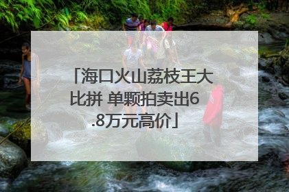 海口火山荔枝王大比拼 单颗拍卖出6.8万元高价