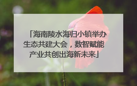 海南陵水海归小镇举办生态共建大会，数智赋能产业共创出海新未来