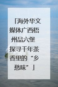 海外华文媒体广西梧州品六堡 探寻千年茶香里的“乡愁味”