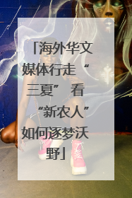 海外华文媒体行走“三夏” 看“新农人”如何逐梦沃野