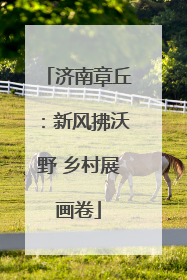 济南章丘：新风拂沃野 乡村展画卷