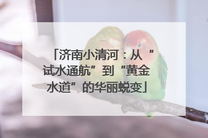 济南小清河：从“试水通航”到“黄金水道”的华丽蜕变
