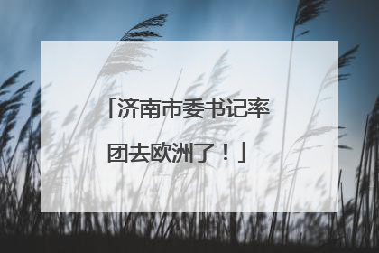 济南市委书记率团去欧洲了！