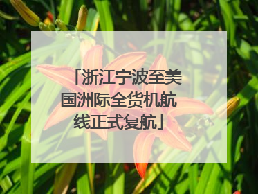 浙江宁波至美国洲际全货机航线正式复航