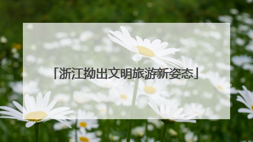 浙江拗出文明旅游新姿态