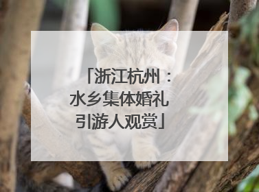 浙江杭州：水乡集体婚礼引游人观赏
