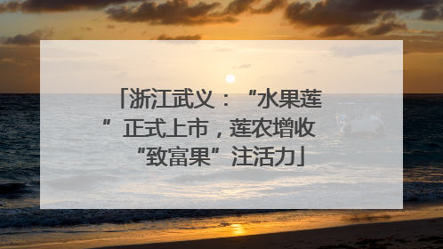 浙江武义：“水果莲”正式上市，莲农增收“致富果”注活力