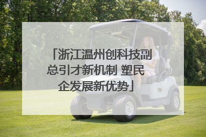 浙江温州创科技副总引才新机制 塑民企发展新优势