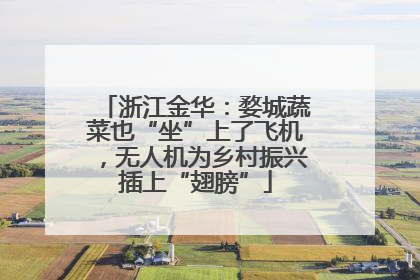 浙江金华：婺城蔬菜也“坐”上了飞机，无人机为乡村振兴插上“翅膀”