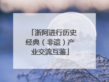 浙阿进行历史经典（非遗）产业交流互鉴