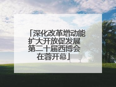 深化改革增动能 扩大开放促发展 第二十届西博会在蓉开幕