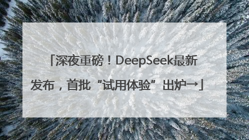 深夜重磅！DeepSeek最新发布，首批“试用体验”出炉→