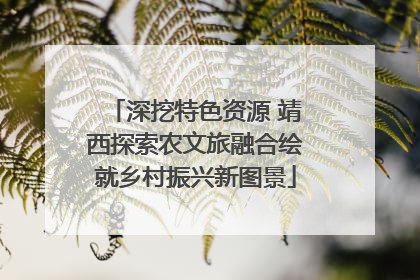 深挖特色资源 靖西探索农文旅融合绘就乡村振兴新图景