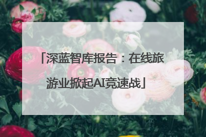 深蓝智库报告：在线旅游业掀起AI竞速战