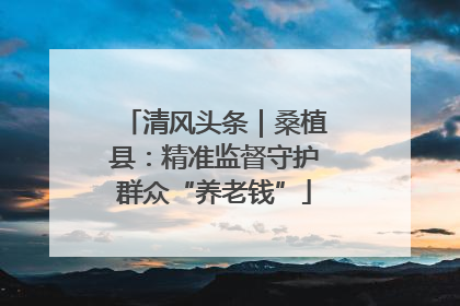 清风头条｜桑植县：精准监督守护群众“养老钱”