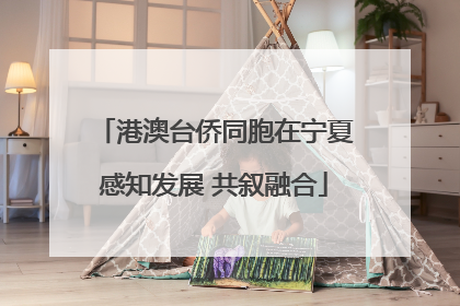 港澳台侨同胞在宁夏感知发展 共叙融合