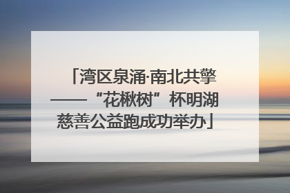 湾区泉涌·南北共擎——“花楸树”杯明湖慈善公益跑成功举办