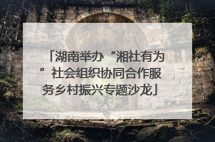 湖南举办“湘社有为”社会组织协同合作服务乡村振兴专题沙龙