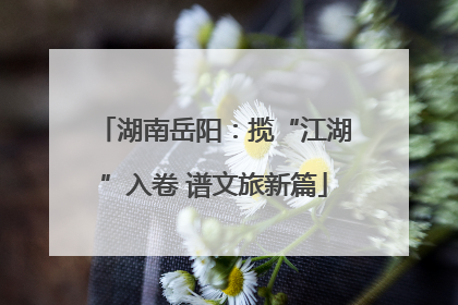 湖南岳阳：揽“江湖”入卷 谱文旅新篇