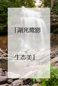湖光鹭影生态美