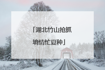 湖北竹山抢抓墒情忙夏种