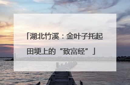 湖北竹溪：金叶子托起田埂上的“致富经”