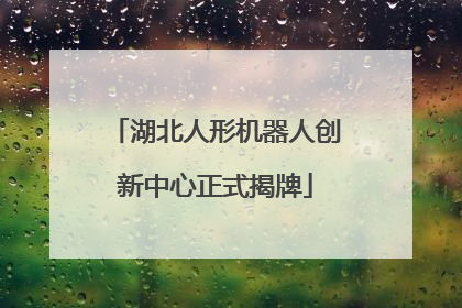 湖北人形机器人创新中心正式揭牌