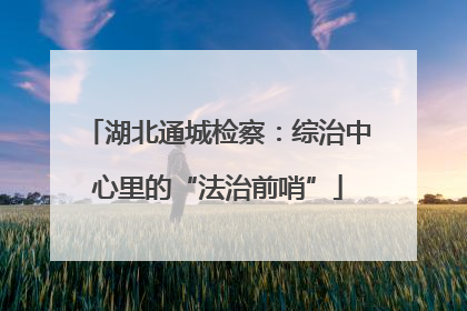 湖北通城检察：综治中心里的“法治前哨”