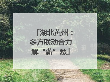 湖北黄州：多方联动合力解“薪”愁