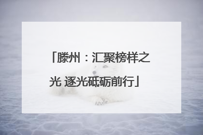 滕州：汇聚榜样之光 逐光砥砺前行