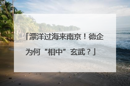 漂洋过海来南京！德企为何“相中”玄武？