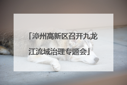漳州高新区召开九龙江流域治理专题会