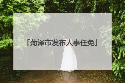 菏泽市发布人事任免